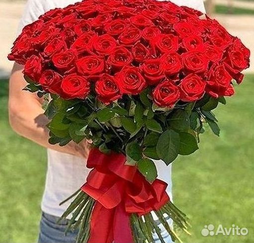 Розы гиганты 140 150 160 170 180 200