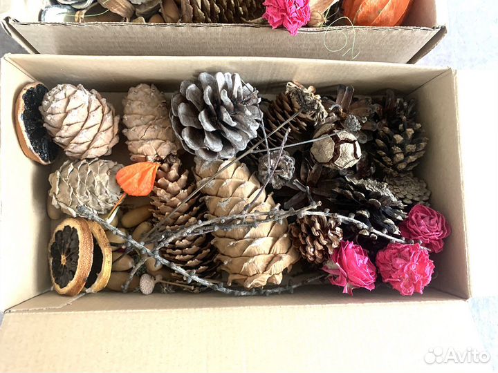 Природный материал, шишки для творчества