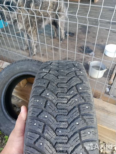 Accelera 651 2.25/4.5