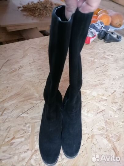 Сапоги женские натуральная замша