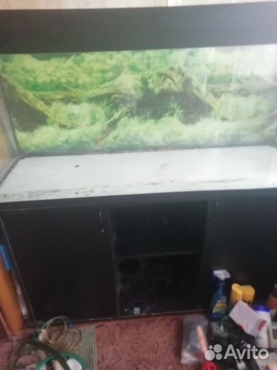 Аквариум террариум