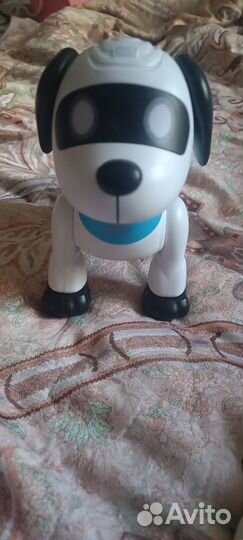Робот «Пультовод собачка»