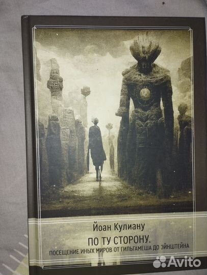 Ион Кулиану - «По ту сторону»