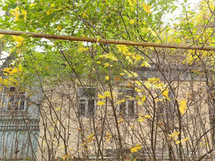 Участок 21 сот. (ИЖС)