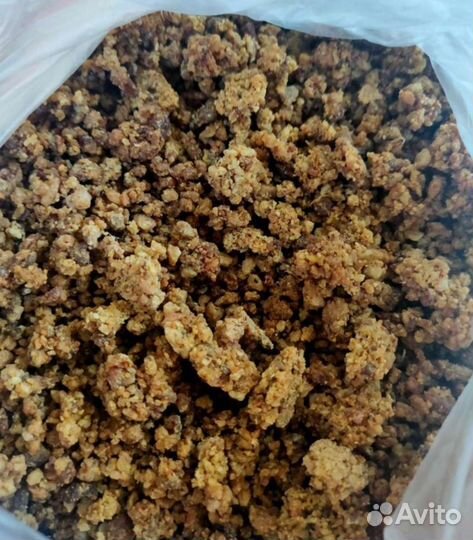 Прополис пчелиный