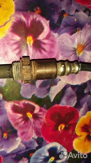 Датчик кислорода lexus ls 460