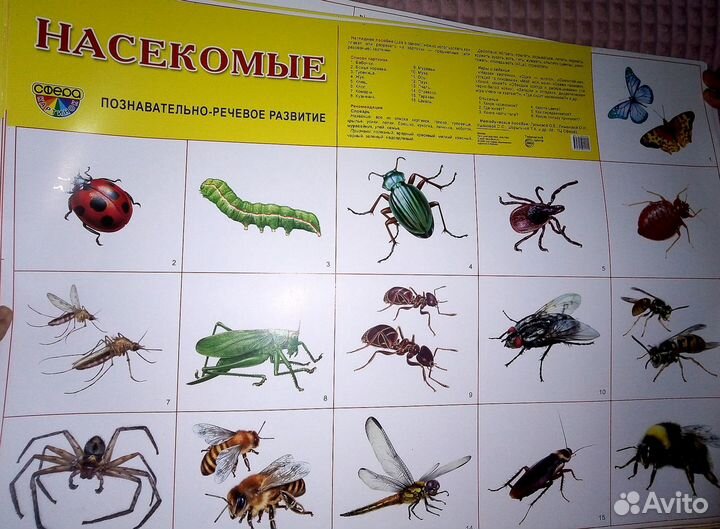 Плакаты обучающие