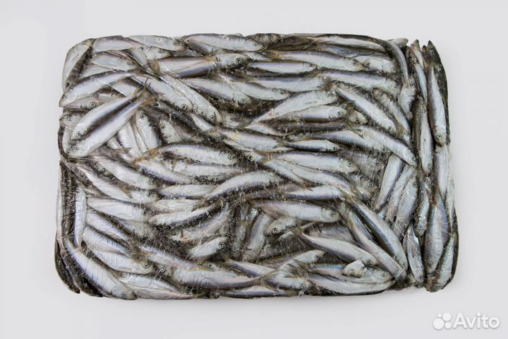 Салака не разделанная свежемороженая 30кг