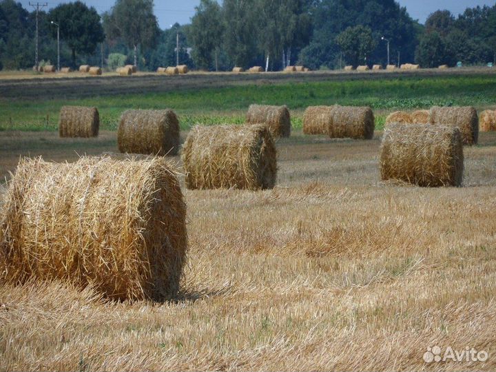 Солома в рулонах
