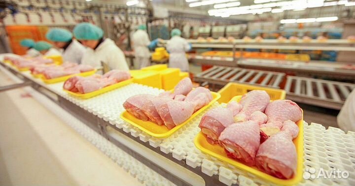 Оператор линии - вахта в Белгородской области