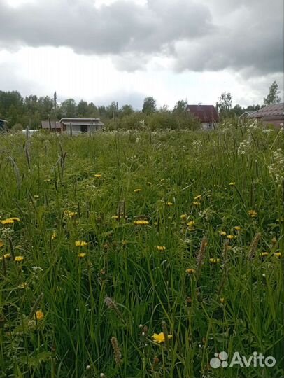 Покос травы, кустарника