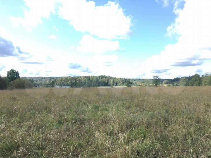 Участок 2,6 га (СНТ, ДНП)