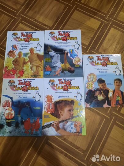 Тело человека