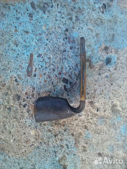 Лапка сапожника