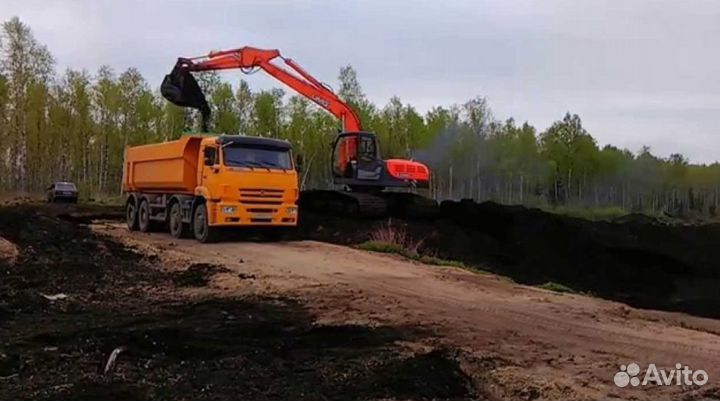 Земля плодородная