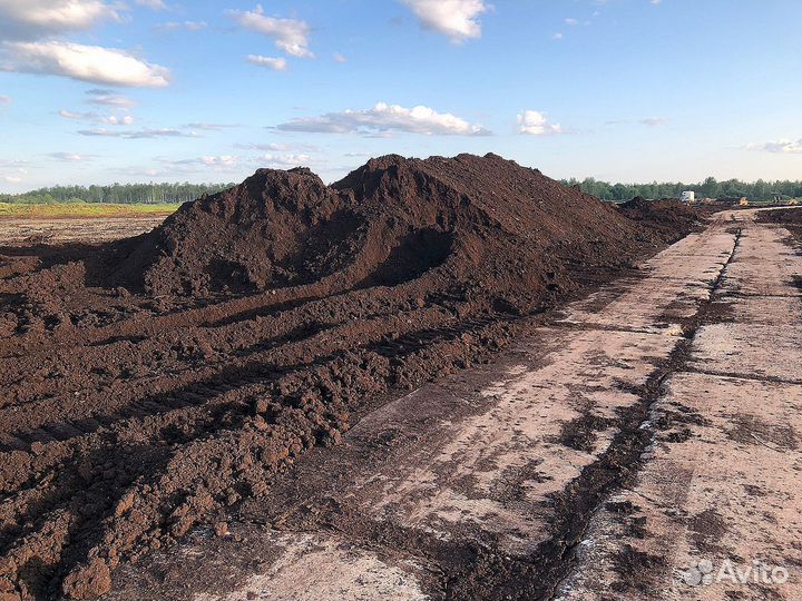 Торф низинный