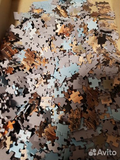 Пазлы 1000 деталей, галопирующие лошади