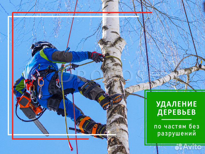 Вырубка, спил и удаление деревьев в Сергиев Посад