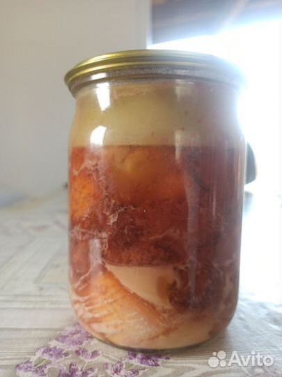 Утка домашняя мясо