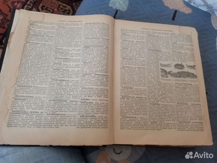 Энциклопедия 1955 года словарь