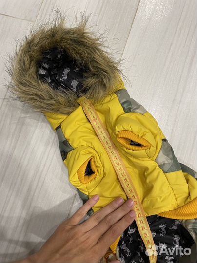 Одежда для собак