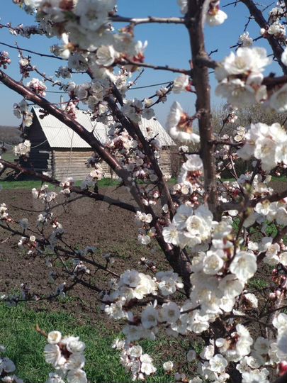 Дом 60 м² на участке 15 сот.