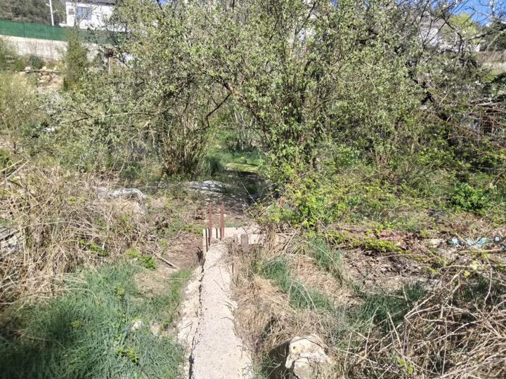 Участок 6,4 сот. (СНТ, ДНП)