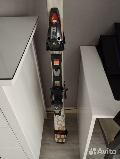 Горные лыжи