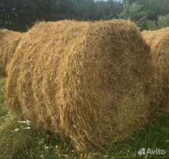 Солома в рулонах