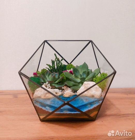 Флорариум, подарок на 8 марта