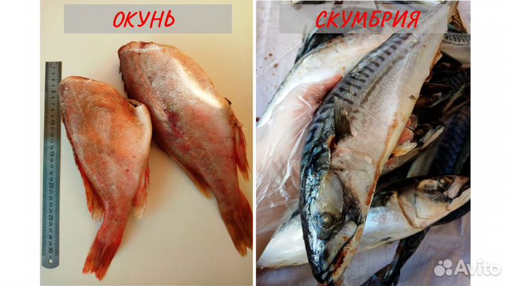 Рыба целая, филе, стейки