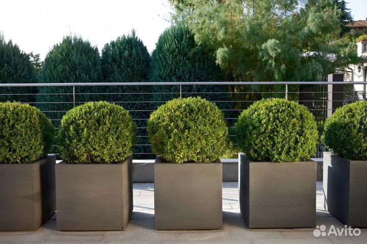 Вазон большой