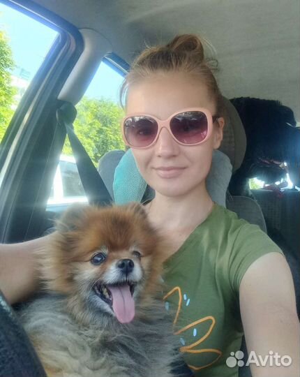 Зоотакси перевозка животных по России