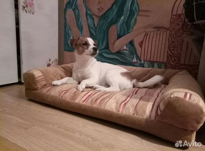 Диван лежанка Premium для собак всех размеров