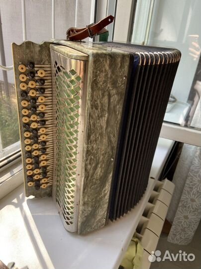 Баян Ростов Дон