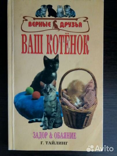 Ваш котенок