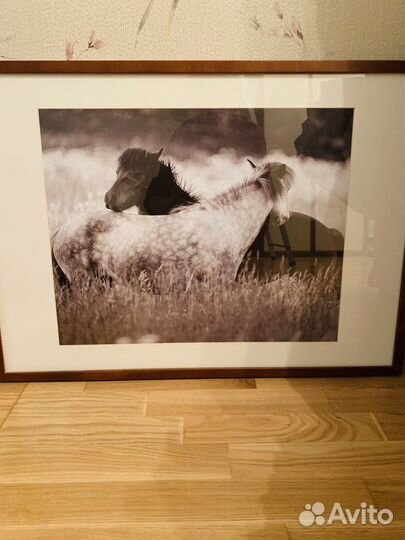 Картина Лошади