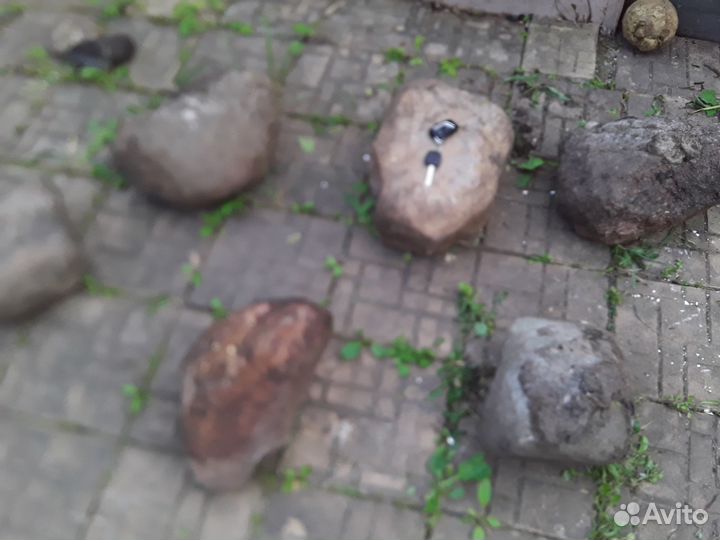 Камни для сада