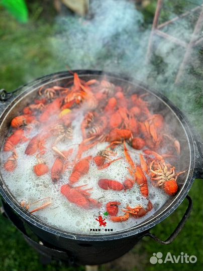 Раки прямо из реки доставка быстро