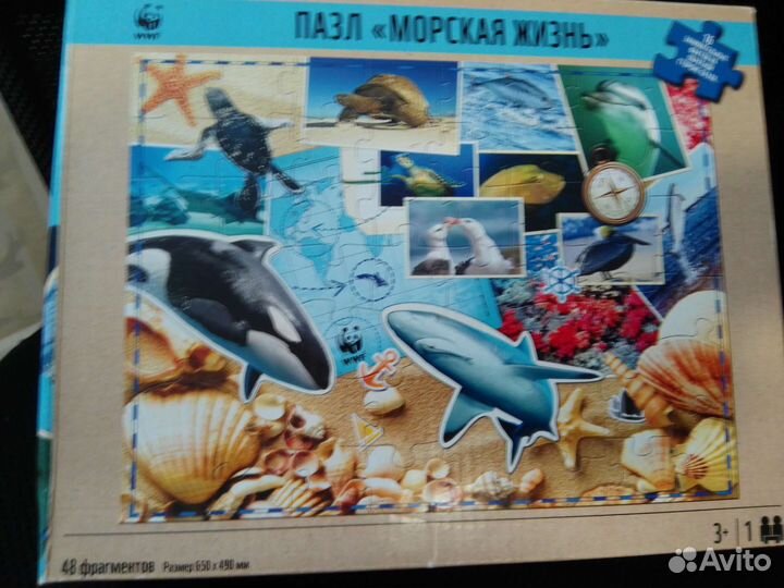 Пазл морской мир