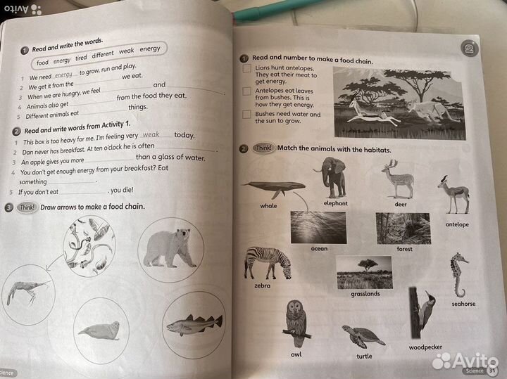 Рабочая тетрадь Superminds 3