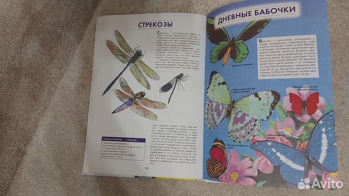 Книга (формат А4)