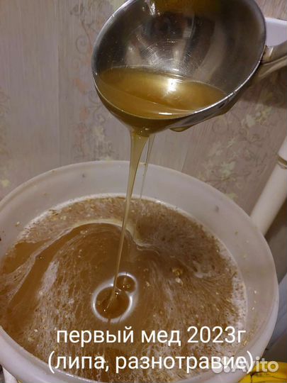 Мед цветочный