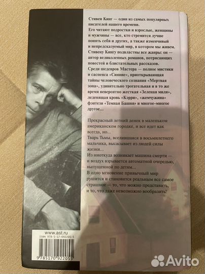 Книга Стивена Кинга «Регуляторы»