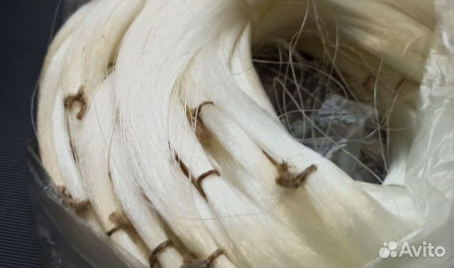 Леска рыболовная