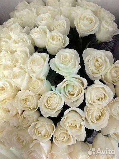 Высокие розы 150 160 170 180 190см доставка Москва