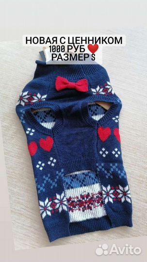 Наряд для собаки малых пород