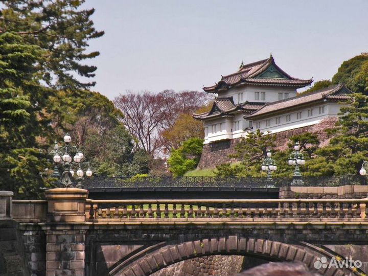 Экскурсия — Токио — Топ-5 символов Токио: живой ра