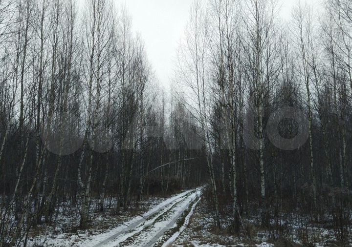 Участок 26,8 га (СНТ, ДНП)