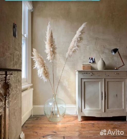 Картадерия